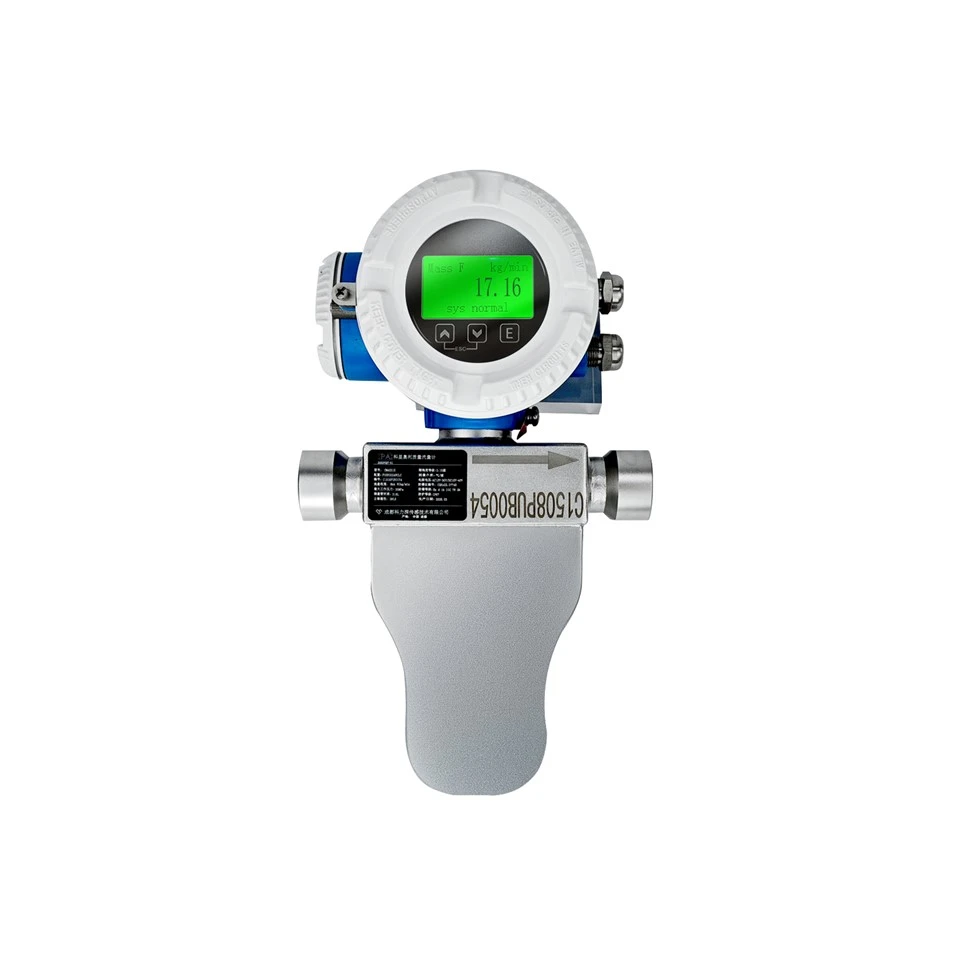 Natural Gas Flow Meter